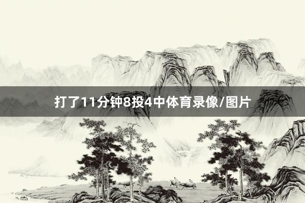 打了11分钟8投4中体育录像/图片
