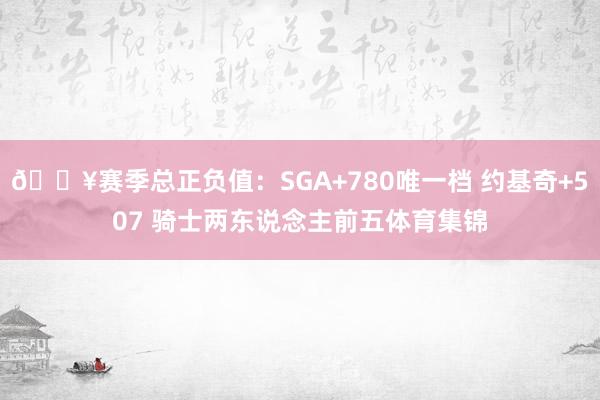 🔥赛季总正负值：SGA+780唯一档 约基奇+507 骑士两东说念主前五体育集锦