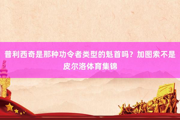 普利西奇是那种功令者类型的魁首吗？加图索不是皮尔洛体育集锦