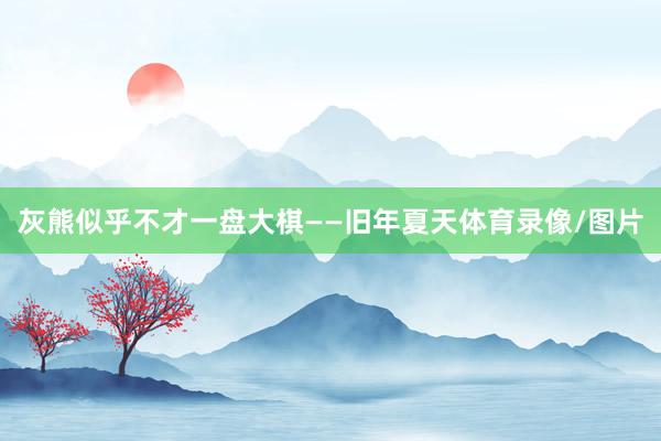 灰熊似乎不才一盘大棋——旧年夏天体育录像/图片
