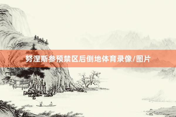 努涅斯参预禁区后倒地体育录像/图片