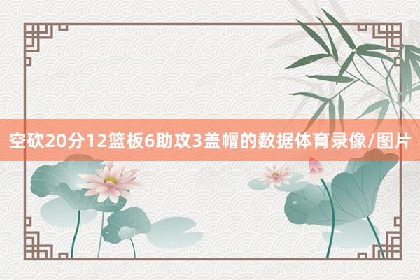 空砍20分12篮板6助攻3盖帽的数据体育录像/图片