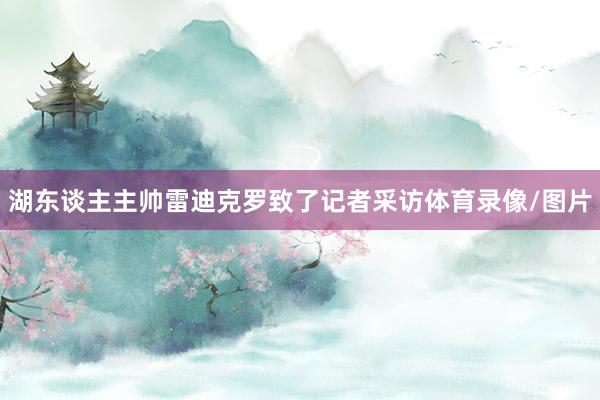 湖东谈主主帅雷迪克罗致了记者采访体育录像/图片