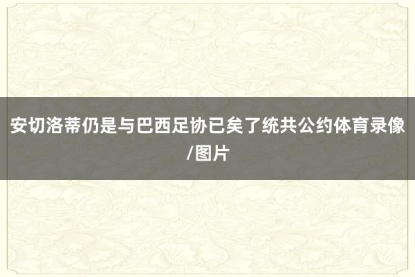 安切洛蒂仍是与巴西足协已矣了统共公约体育录像/图片