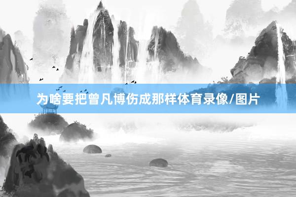 为啥要把曾凡博伤成那样体育录像/图片