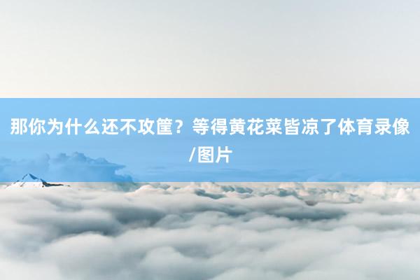 那你为什么还不攻筐？等得黄花菜皆凉了体育录像/图片