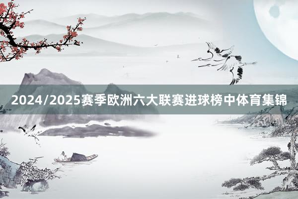 2024/2025赛季欧洲六大联赛进球榜中体育集锦