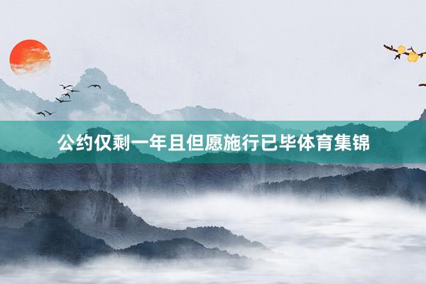 公约仅剩一年且但愿施行已毕体育集锦