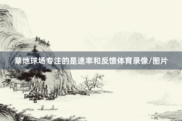 草地球场专注的是速率和反馈体育录像/图片
