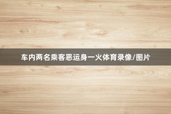 车内两名乘客恶运身一火体育录像/图片