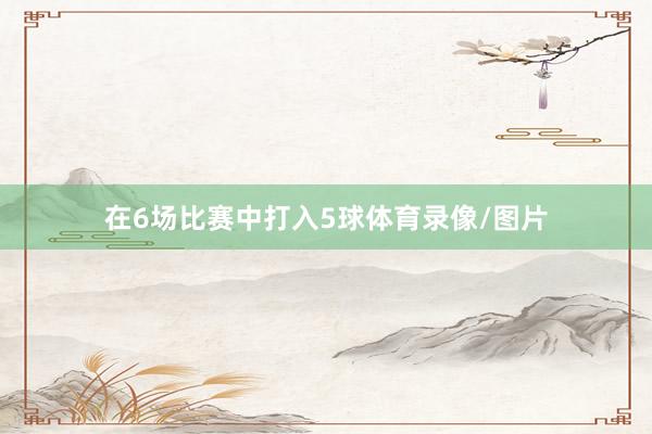 在6场比赛中打入5球体育录像/图片