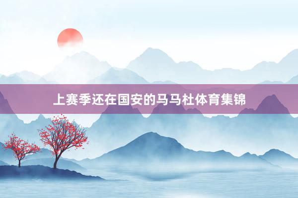 上赛季还在国安的马马杜体育集锦