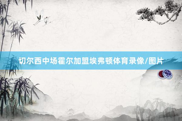 切尔西中场霍尔加盟埃弗顿体育录像/图片