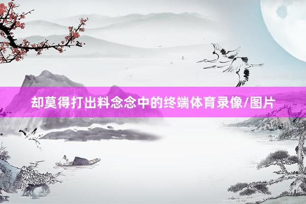 却莫得打出料念念中的终端体育录像/图片