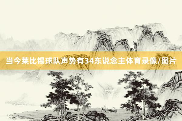 当今莱比锡球队声势有34东说念主体育录像/图片