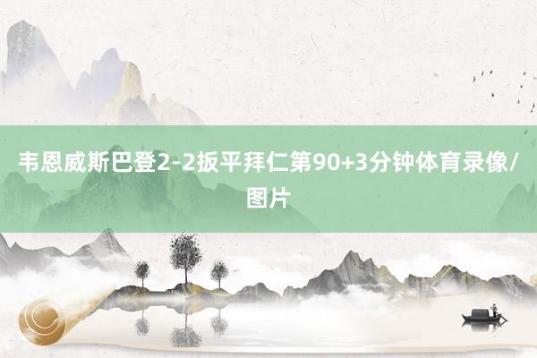 韦恩威斯巴登2-2扳平拜仁第90+3分钟体育录像/图片