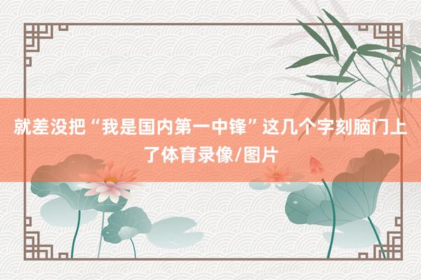 就差没把“我是国内第一中锋”这几个字刻脑门上了体育录像/图片