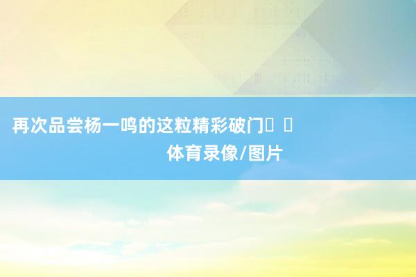 再次品尝杨一鸣的这粒精彩破门⚽️                            体育录像/图片