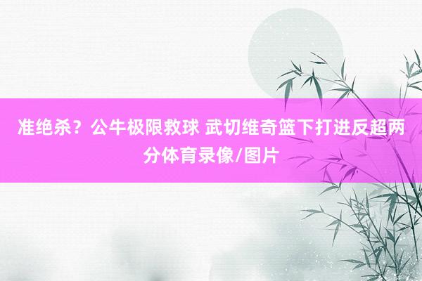 准绝杀？公牛极限救球 武切维奇篮下打进反超两分体育录像/图片