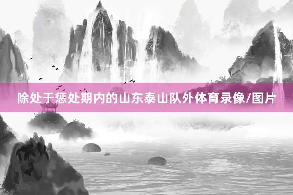 除处于惩处期内的山东泰山队外体育录像/图片