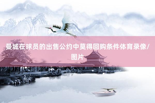 曼城在球员的出售公约中莫得回购条件体育录像/图片