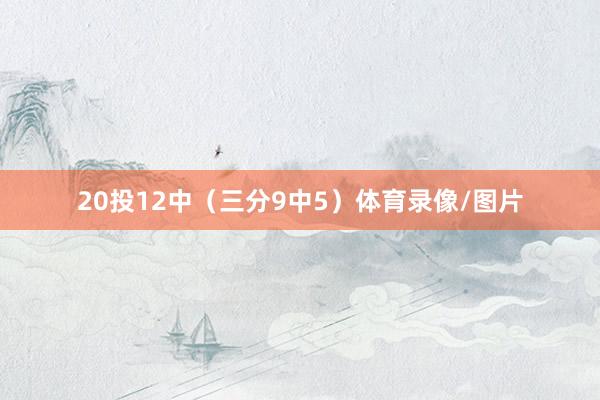 20投12中（三分9中5）体育录像/图片