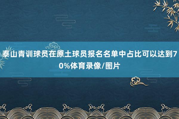泰山青训球员在原土球员报名名单中占比可以达到70%体育录像/图片