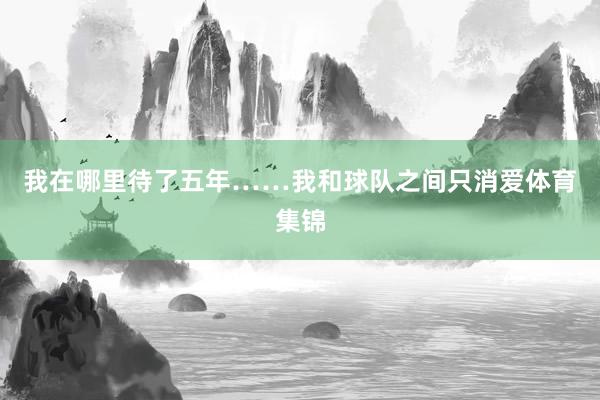 我在哪里待了五年……我和球队之间只消爱体育集锦