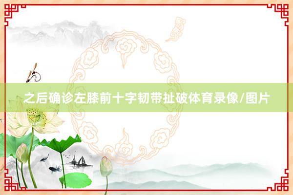 之后确诊左膝前十字韧带扯破体育录像/图片