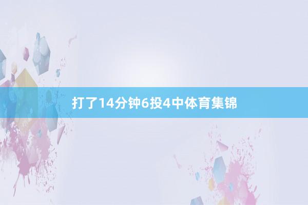 打了14分钟6投4中体育集锦
