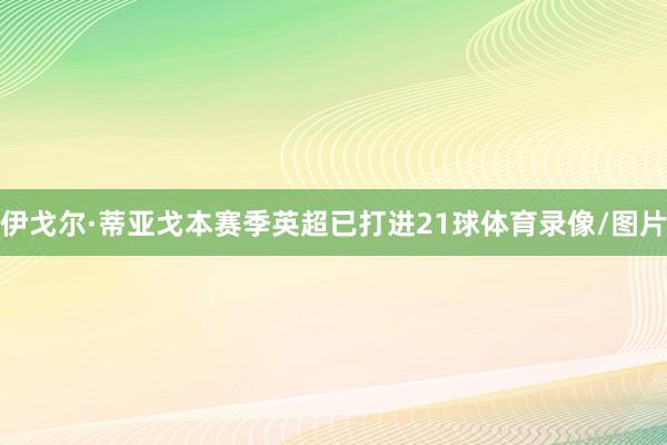 伊戈尔·蒂亚戈本赛季英超已打进21球体育录像/图片