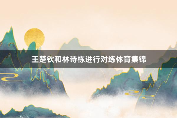 王楚钦和林诗栋进行对练体育集锦