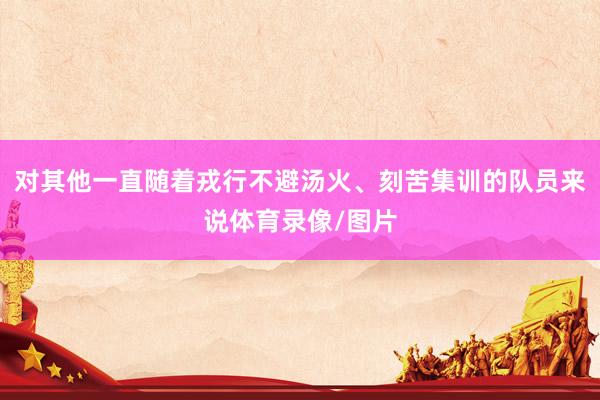 对其他一直随着戎行不避汤火、刻苦集训的队员来说体育录像/图片