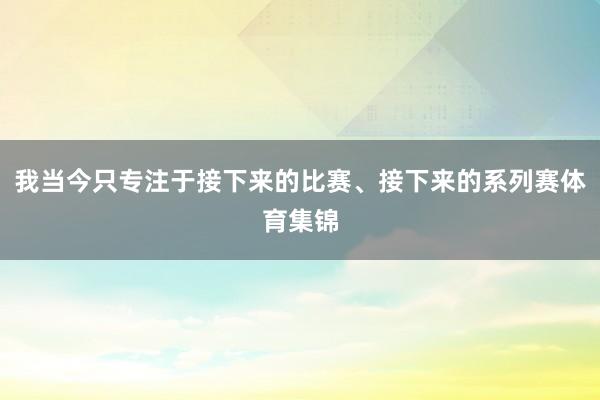 我当今只专注于接下来的比赛、接下来的系列赛体育集锦